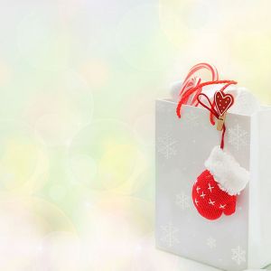 Torba Prezentowa na Święta z Rękawicami