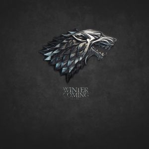 Zima Nadchodzi - Ród Stark