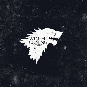 Zima nadchodzi - Stark