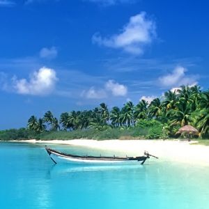 Tropikalny Raj Plażowy
