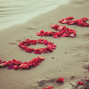 Miłość na Plaży