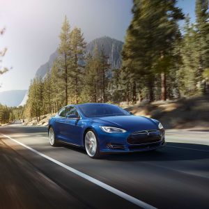 Tesla Model S w Naturze