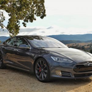 Tesla Model S w Naturze